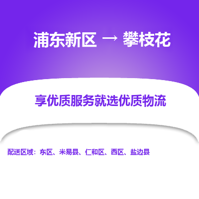 浦东新区到攀枝花物流公司|浦东新区到攀枝花货运专线