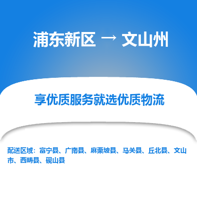 浦东新区到文山州物流公司|浦东新区到文山州货运专线