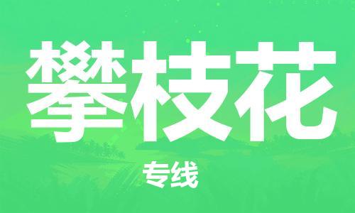 扬中市到攀枝花物流专线|扬中市到攀枝花货运专线