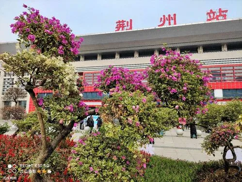 富阳到荆州物流专线|富阳区到荆州货运专线